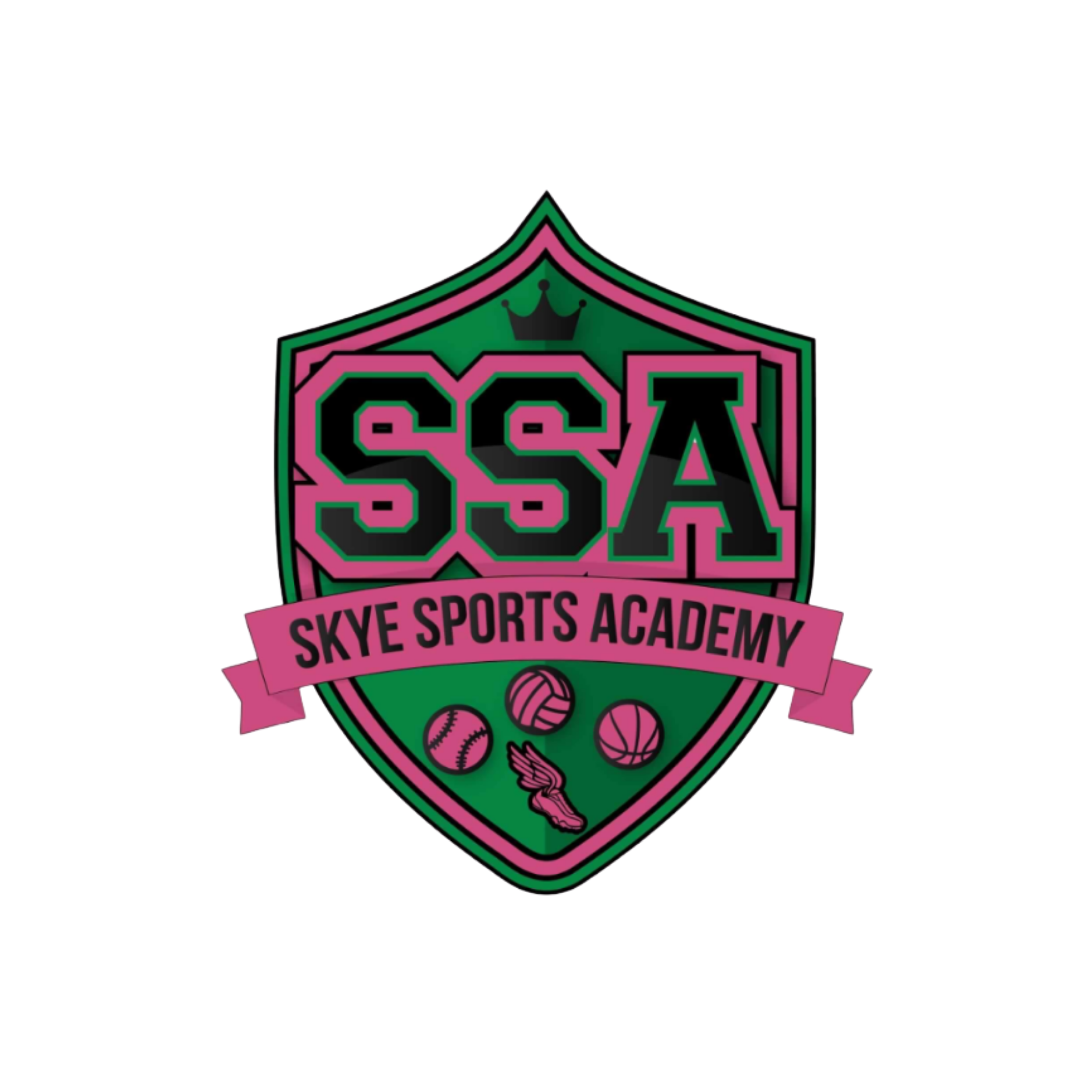 Skye Sports Academy Volleyball Club